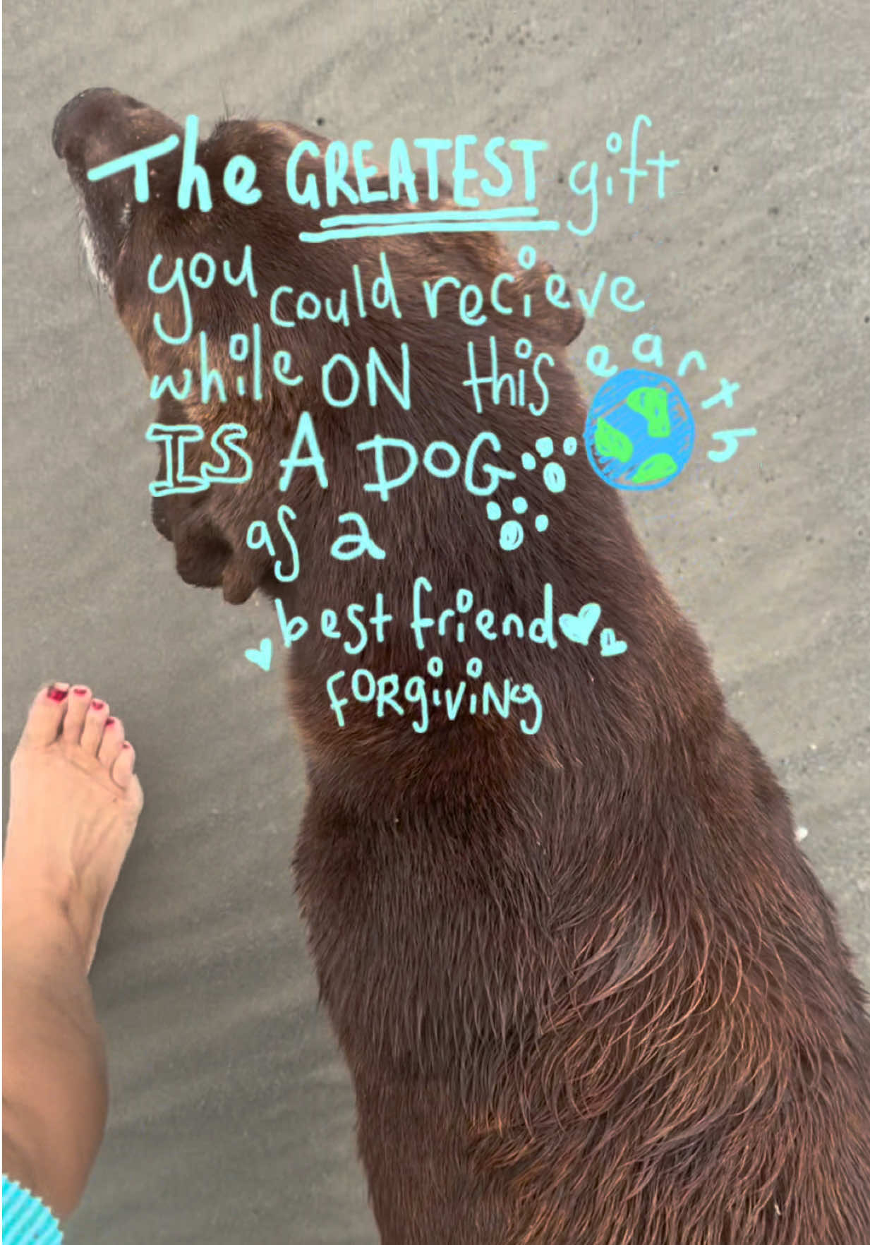 @Roman The Beach 🐾