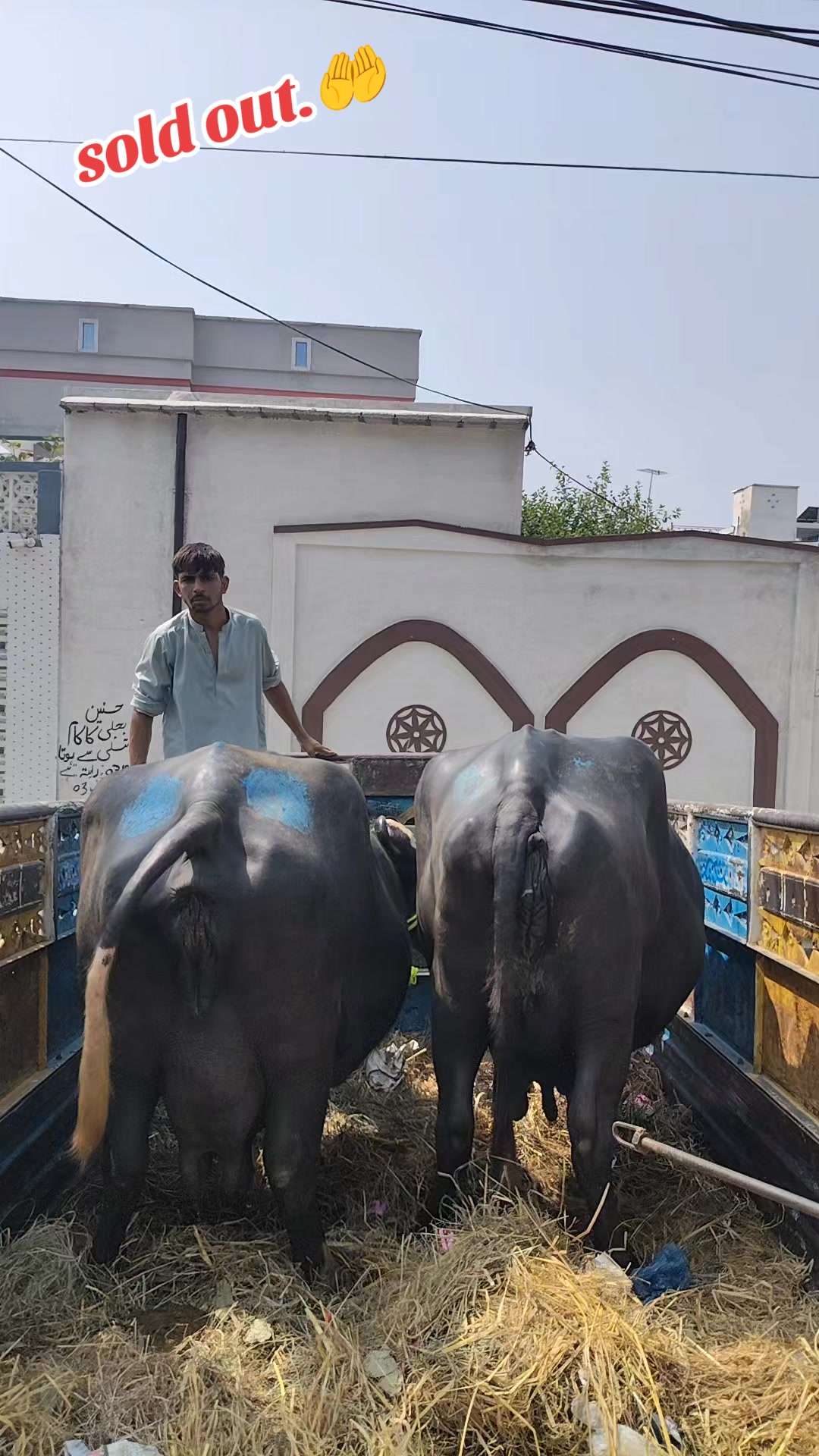 @💖🐄یوسف خان گوندل الہ 💖🐄