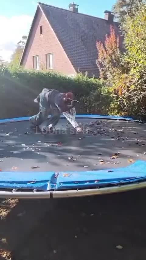 @ðâïžáª00áá©_áTâ
áááŒ4áEáâïžð