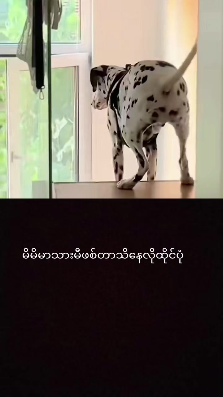 @myohlaingwin