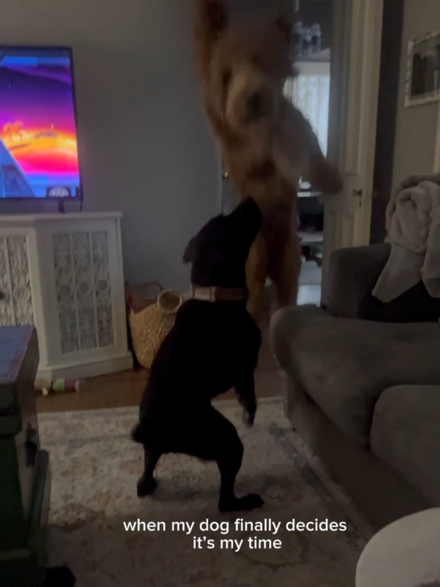 @laysspam
