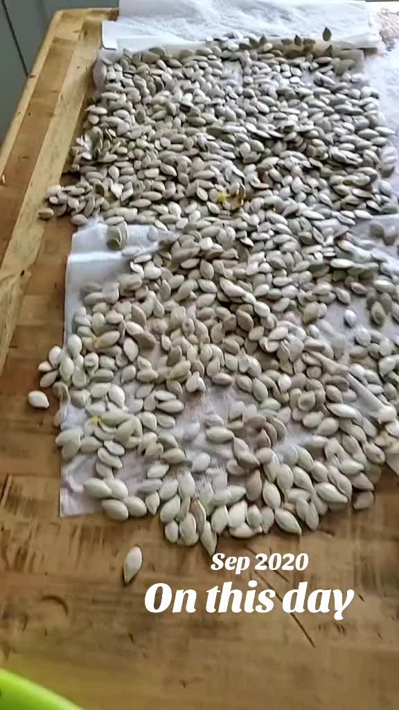 @GrowFoodNow