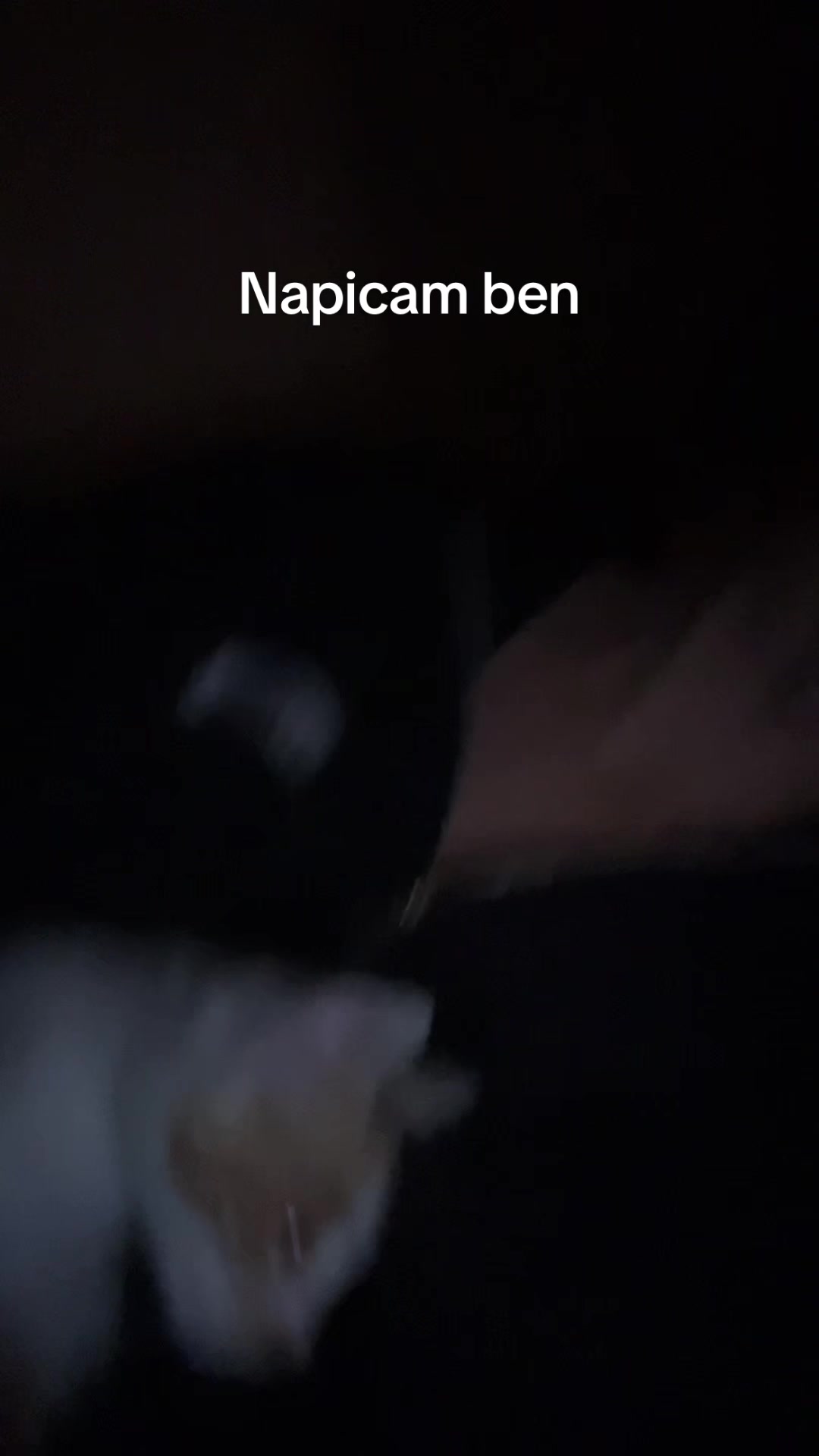 @ecrinpatos