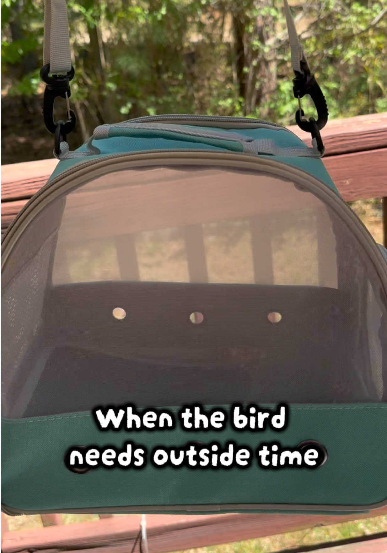 @terragreengoddess
