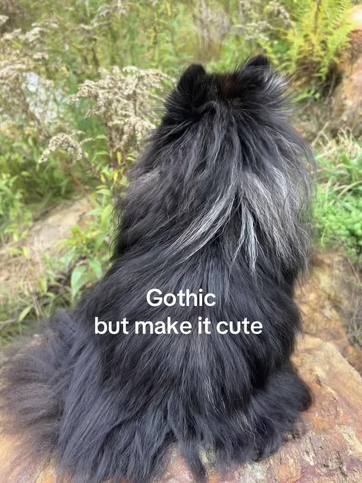 @Rooello
