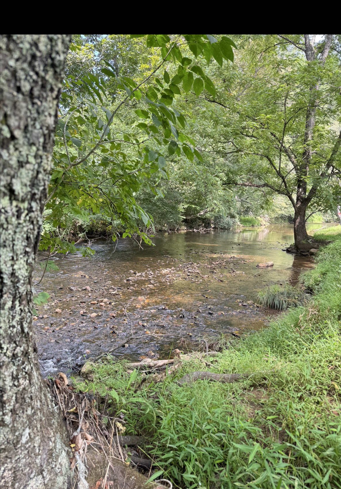 @Andrea | Appalachian Livin’