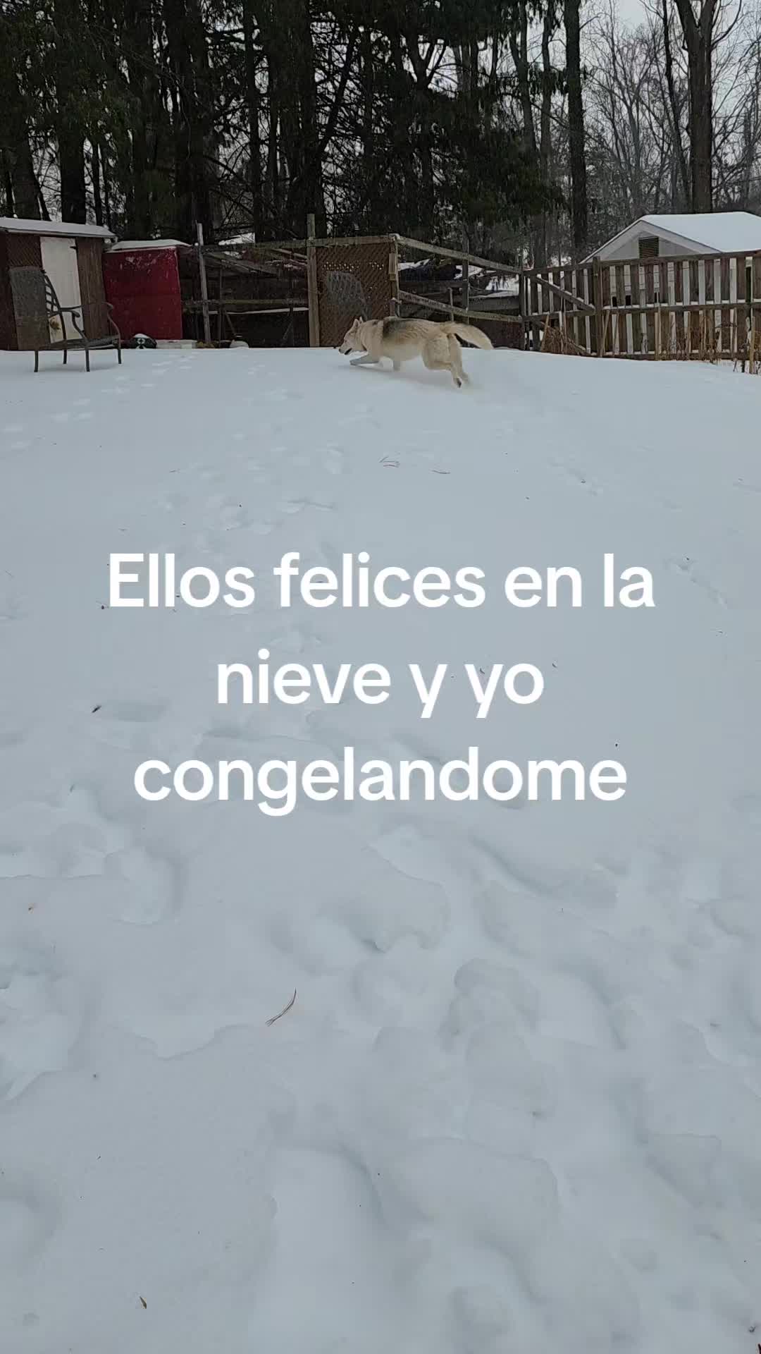 @MaryR