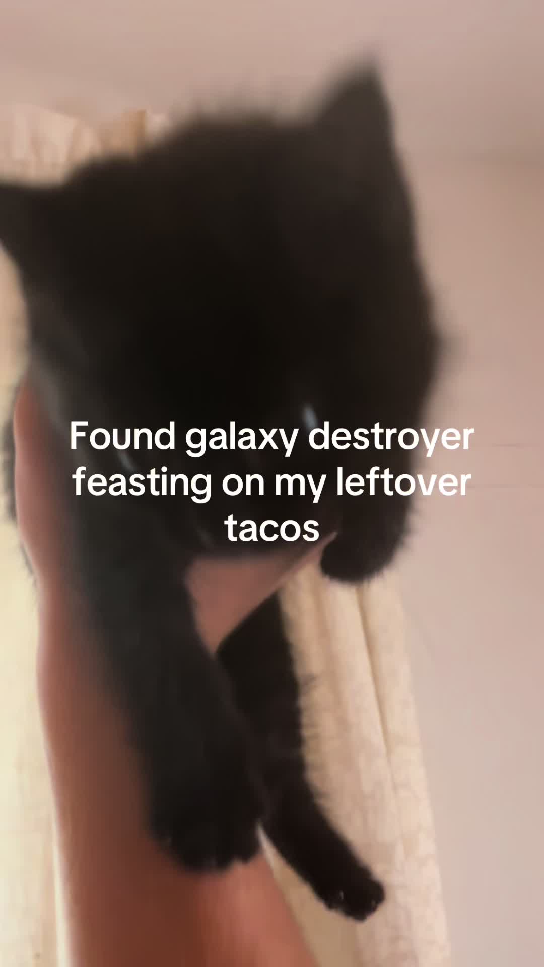 @Crab_Viohelper🙏🥹