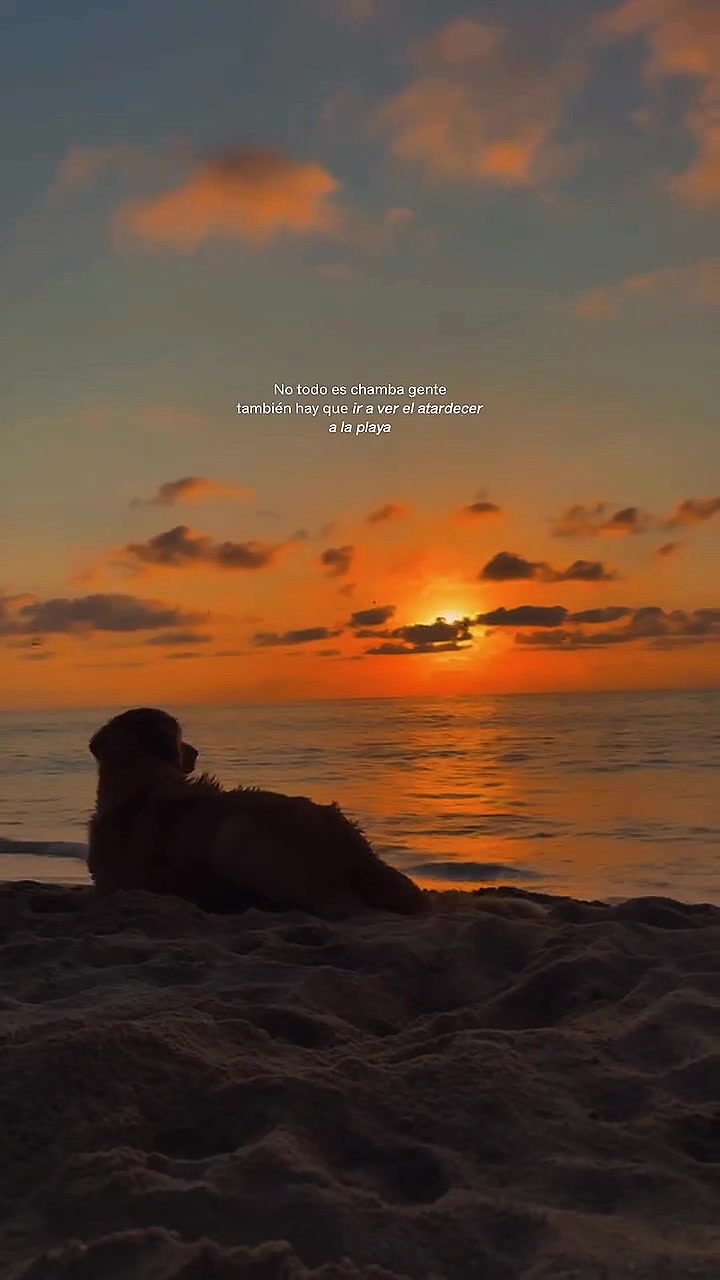 @Chelito_🥷🔥