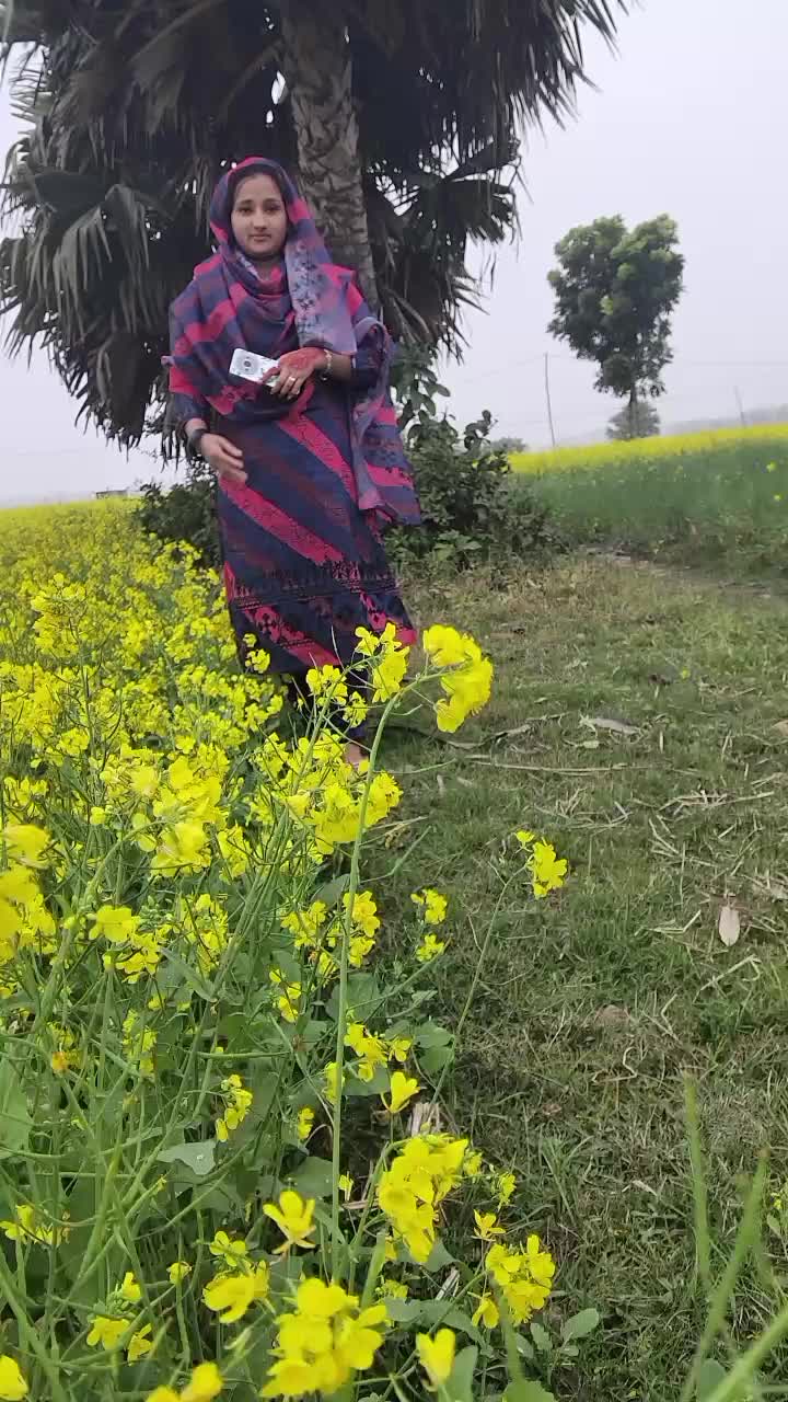 @❣️❣️❣️মন হারা পাখি ❣️❣️❣️