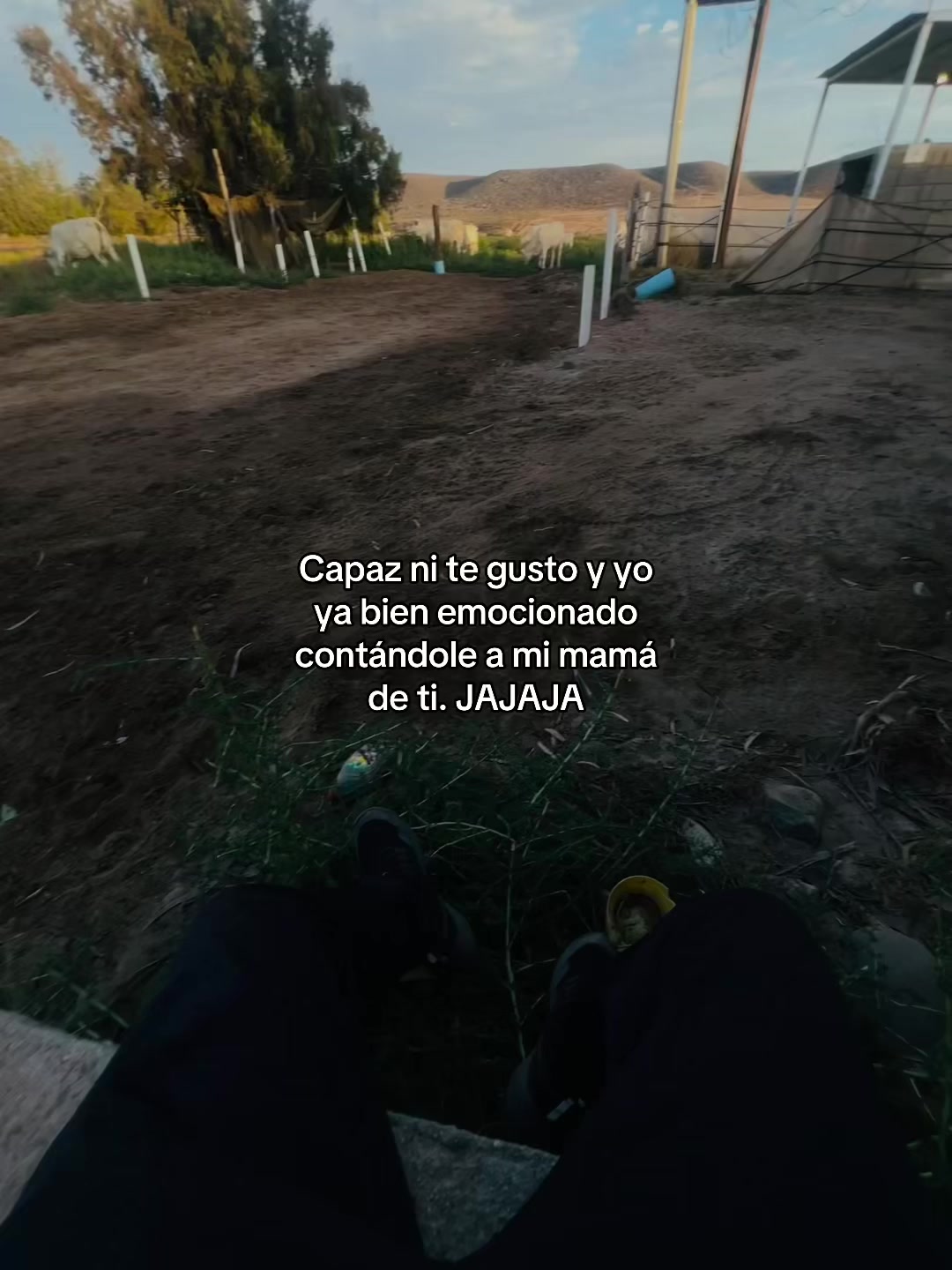 @jesusjp16