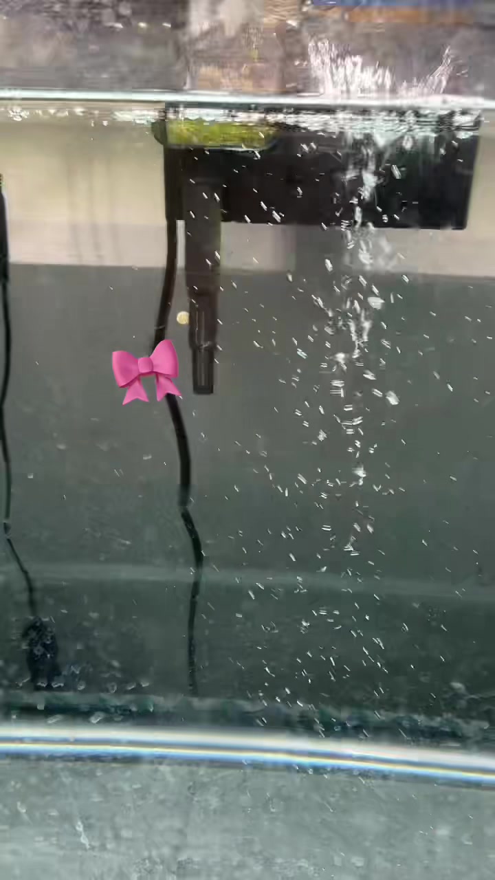 @Prudvika🥰🌷⭐️🍒