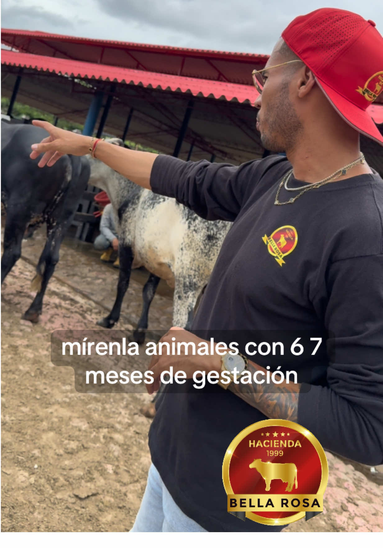 @haciendabellarosa