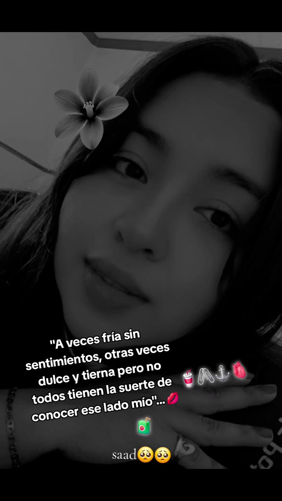 @Pao 🌻🍀