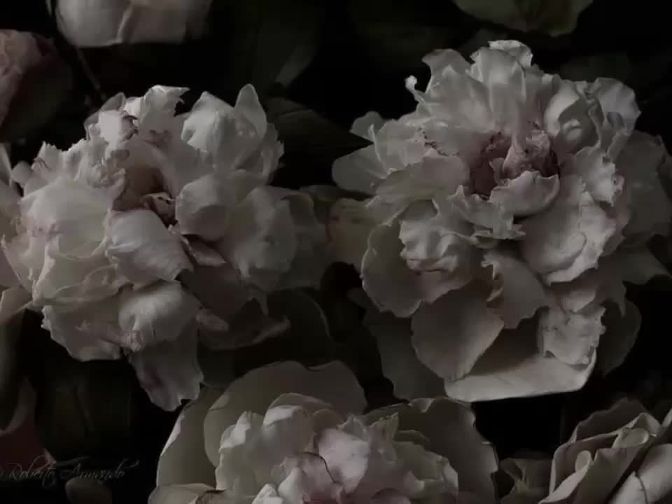@звуки для липсингов
