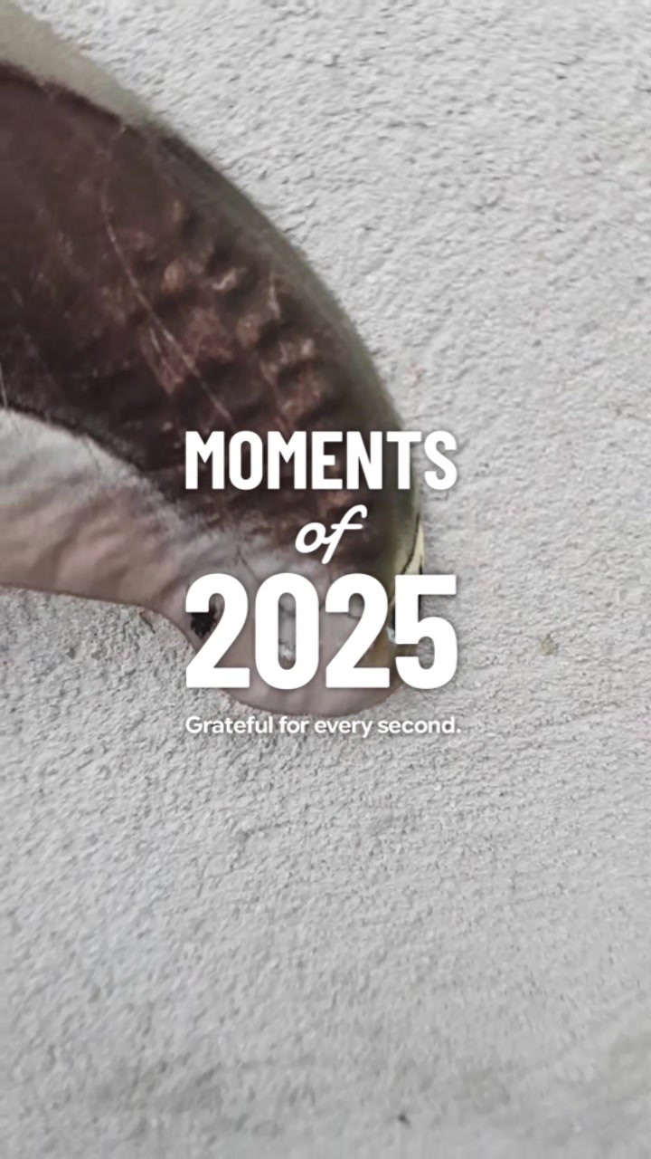 @the_wildlife_master