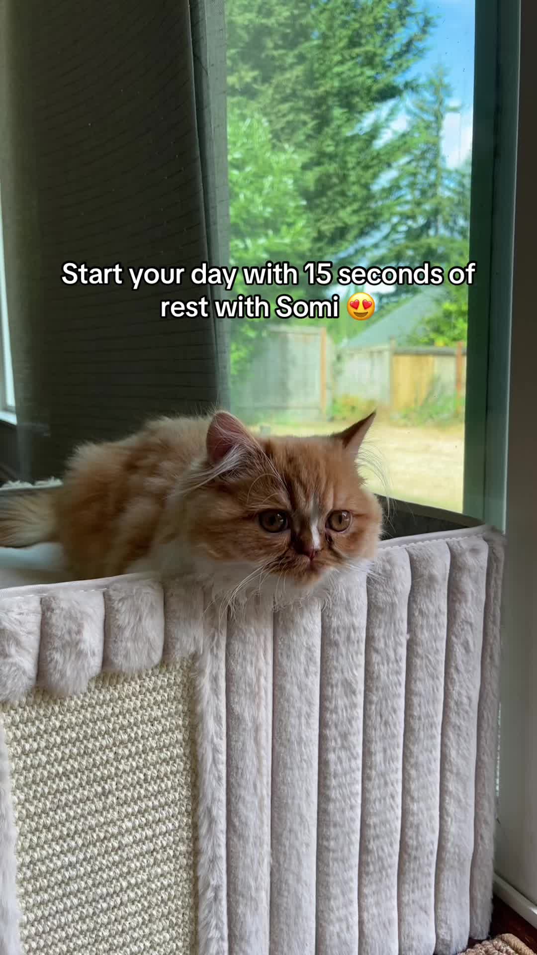 @somithepersian