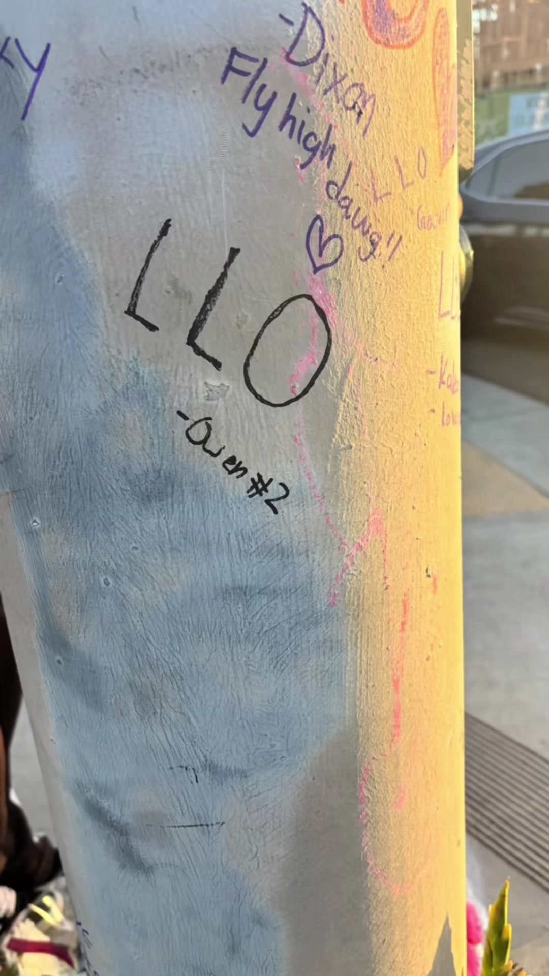 @LLO 🕊️