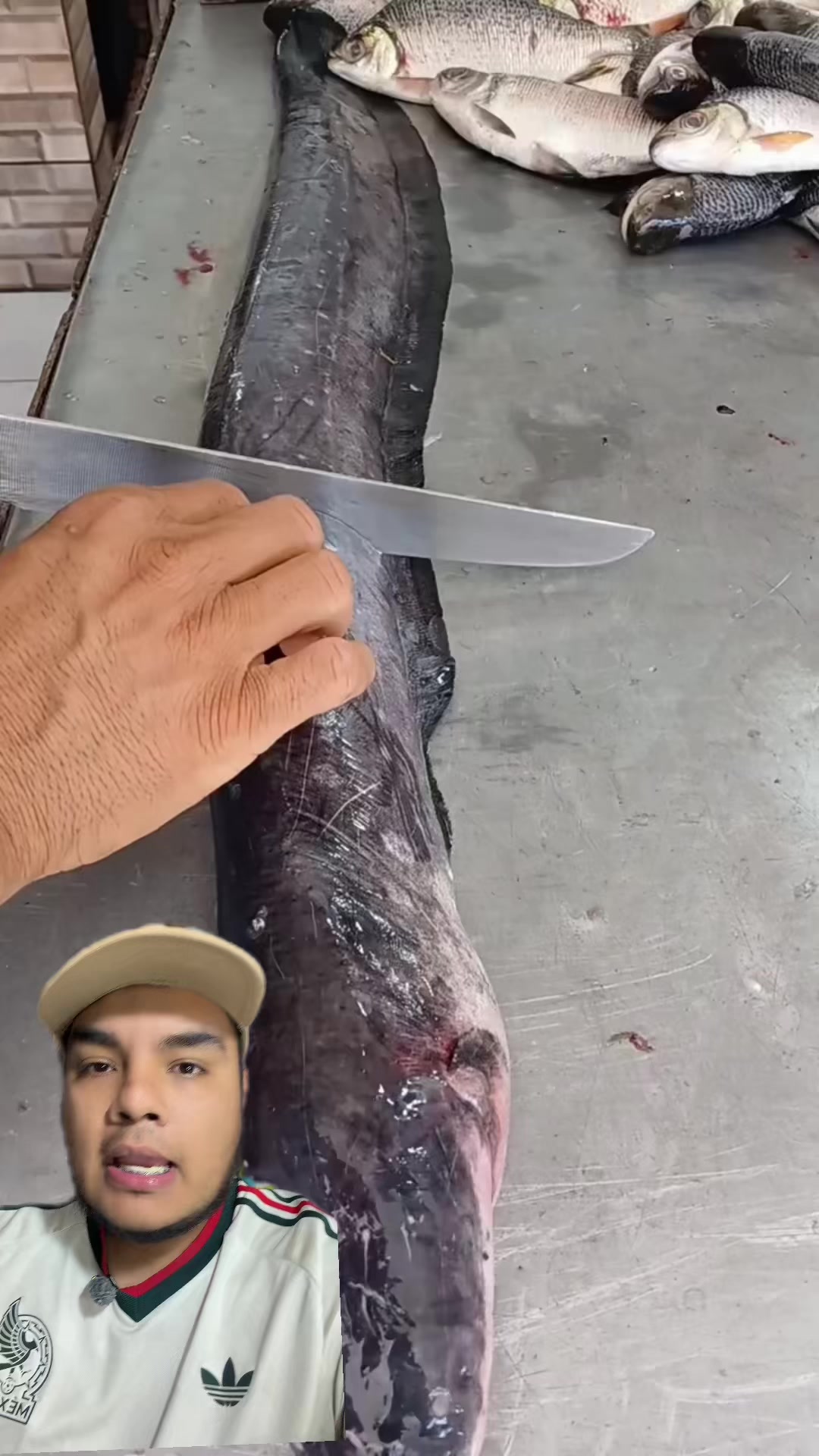 @Jair Herrera 🐆