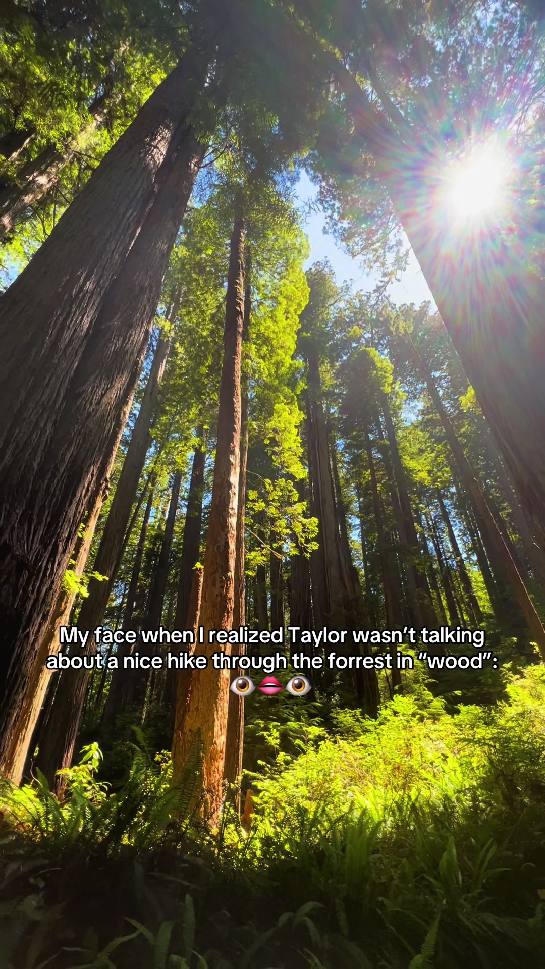 @Sara in the Wild