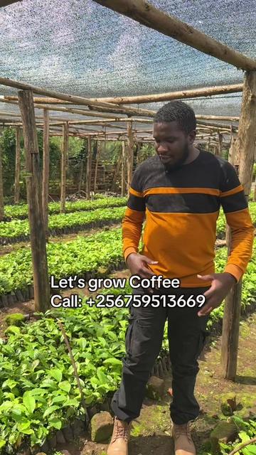 @Joshua | Genesis 10 Coffee