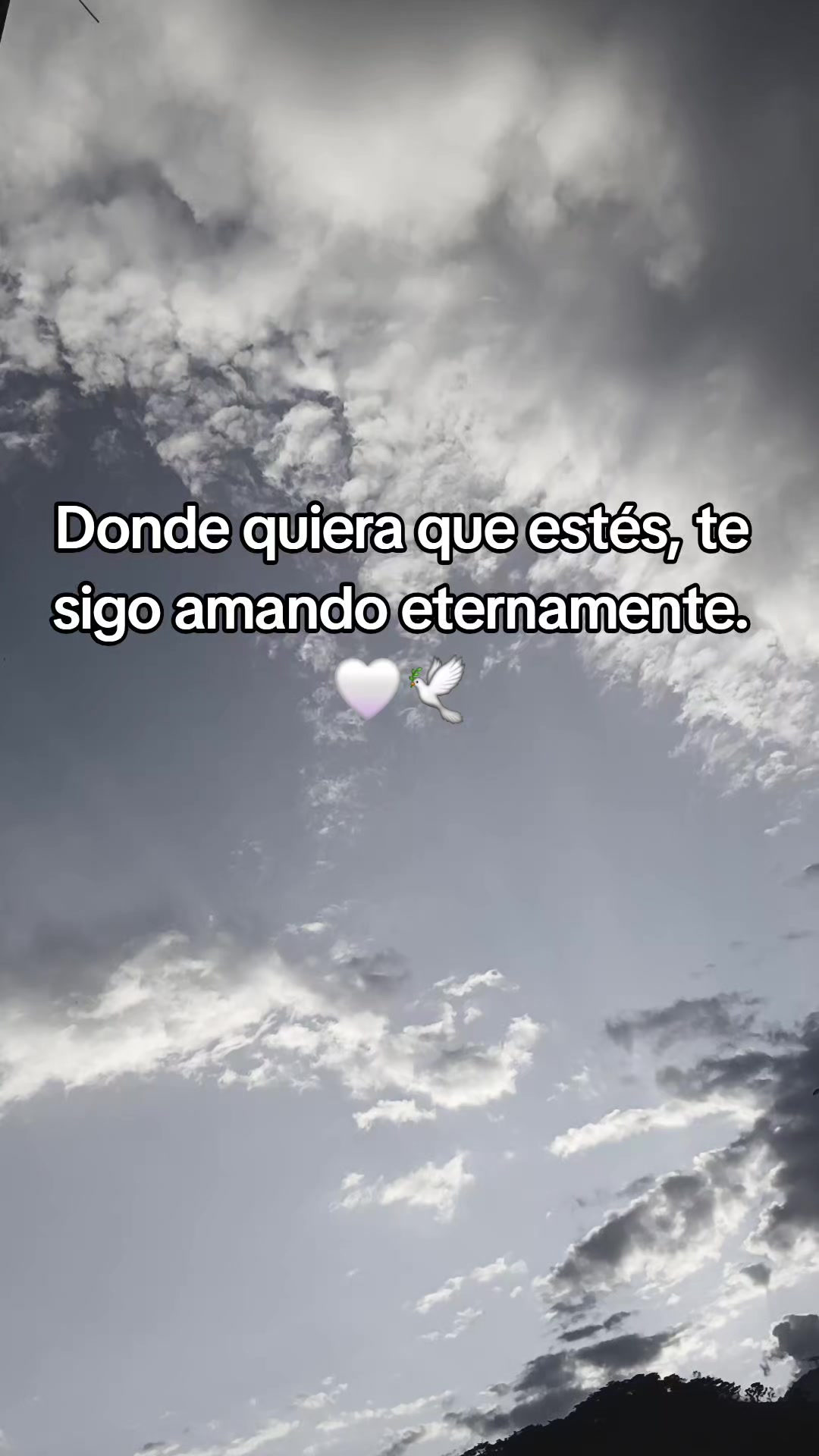 @🦋 Ramirezz 🦋
