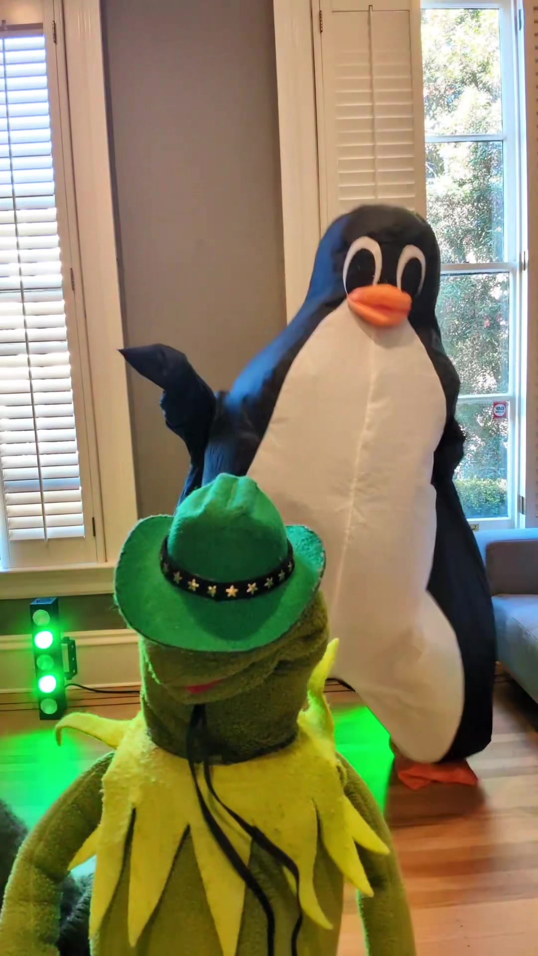 @🐸 Crashout Kermy 🐸