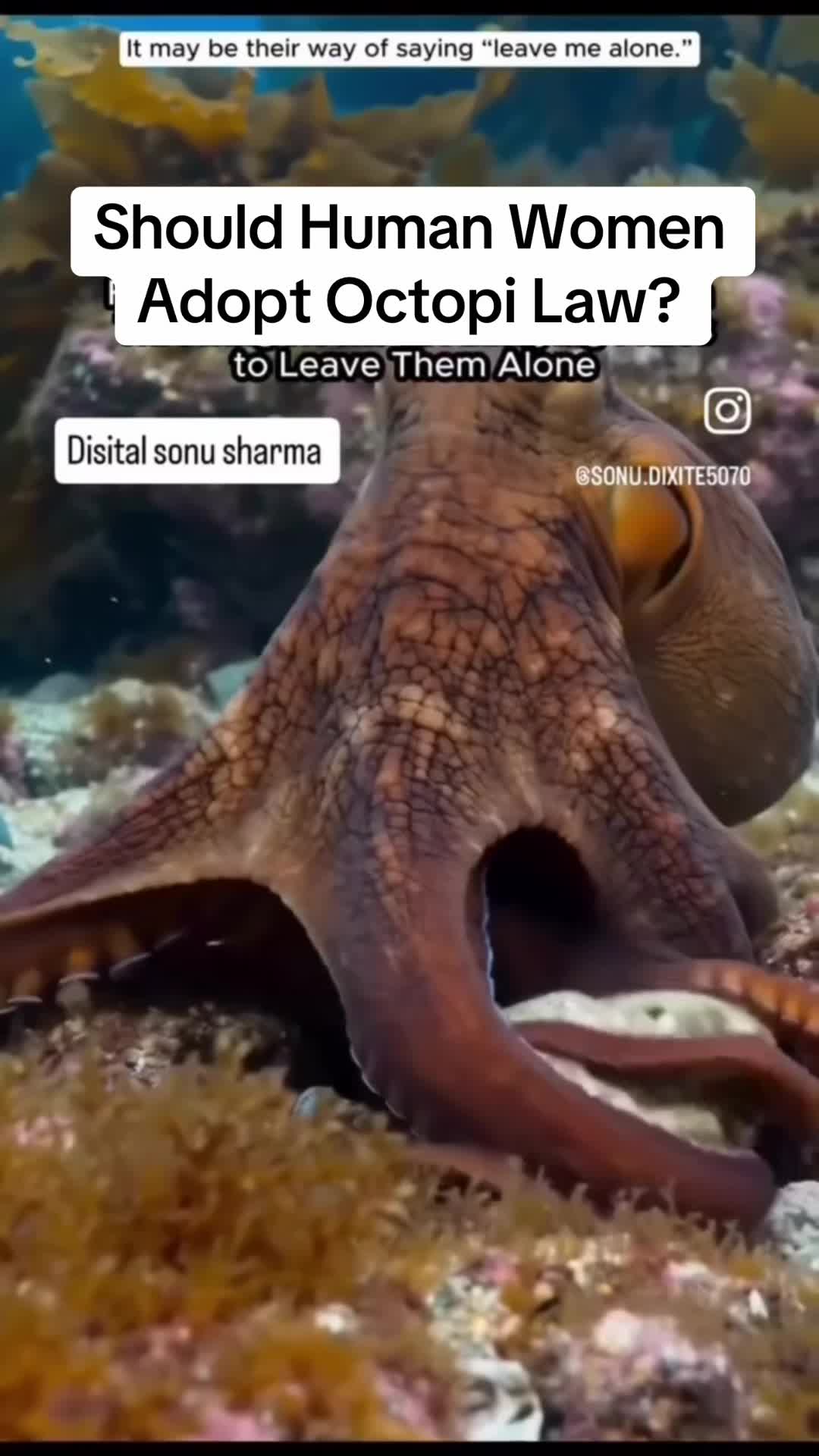 @SloowMoee™