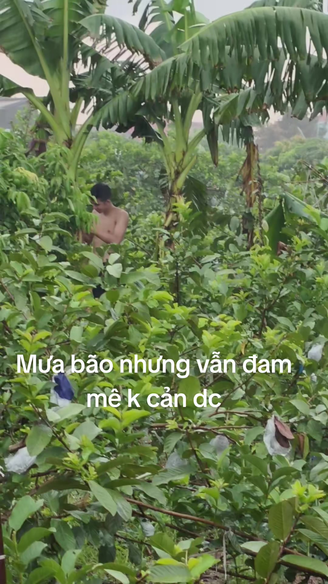 @Sáo Diều Huân Nguyễn