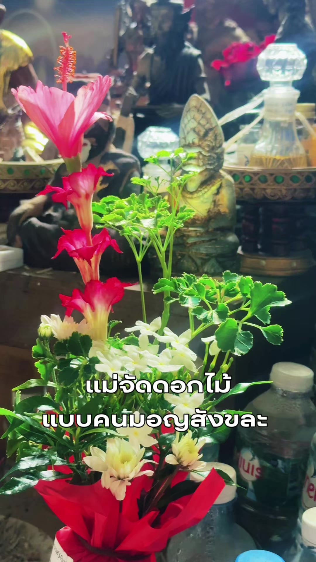 @ตามแม่มาแม่จะพาไปมู