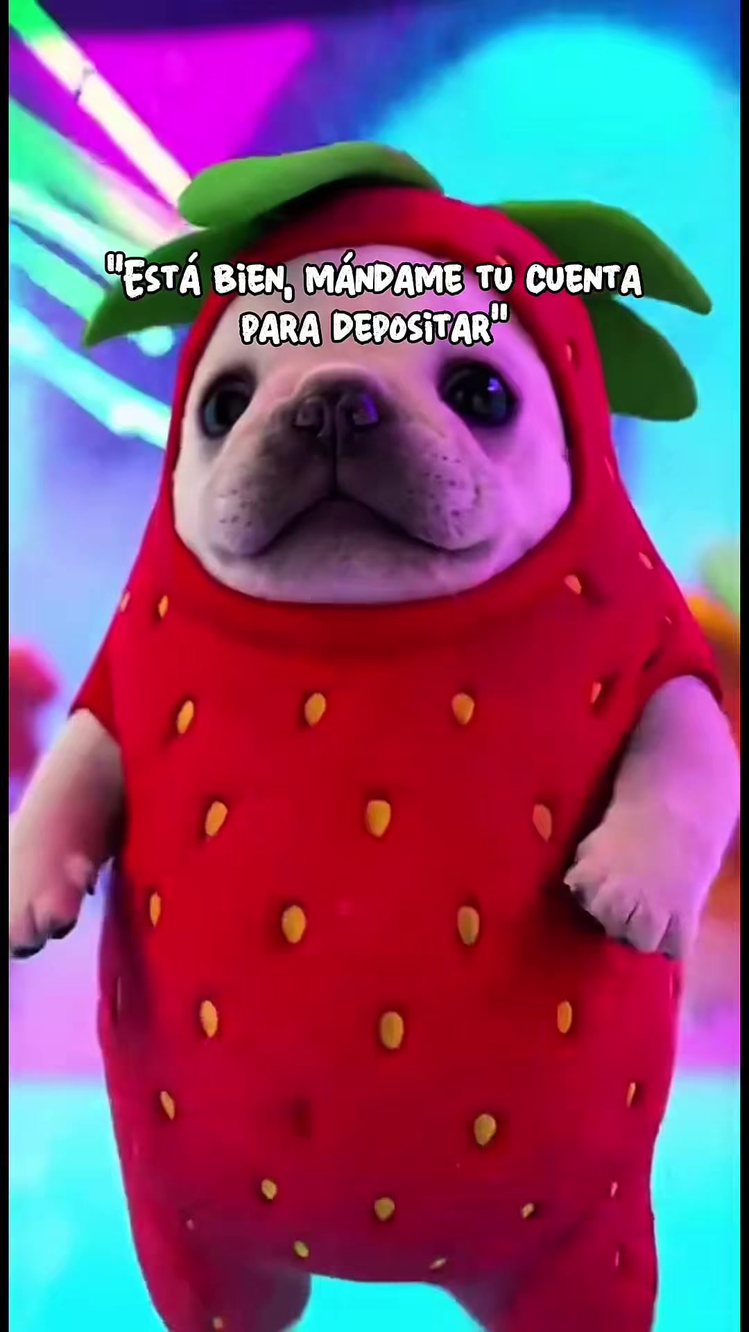 @progirlmx