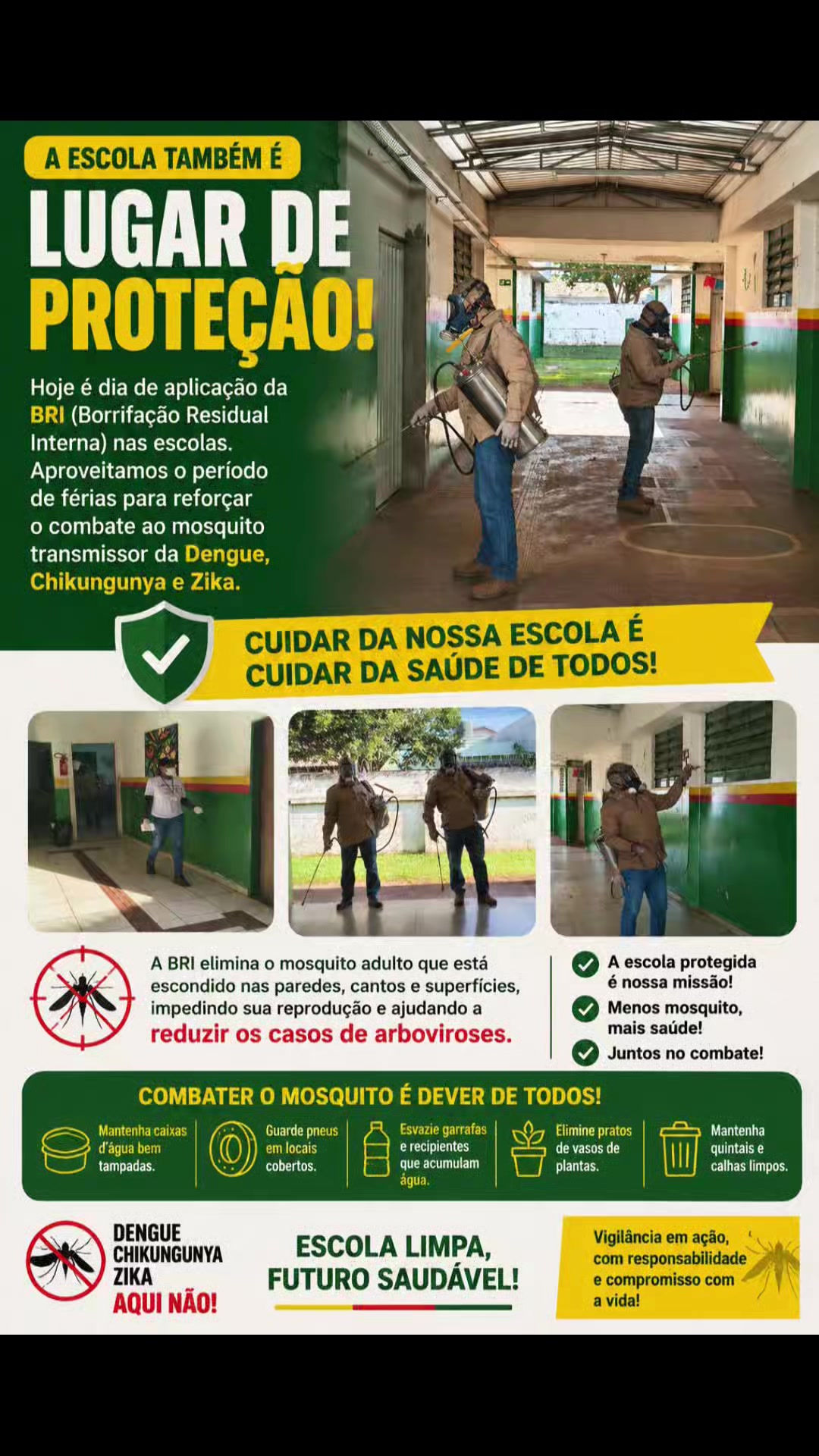 @Meire Souza537