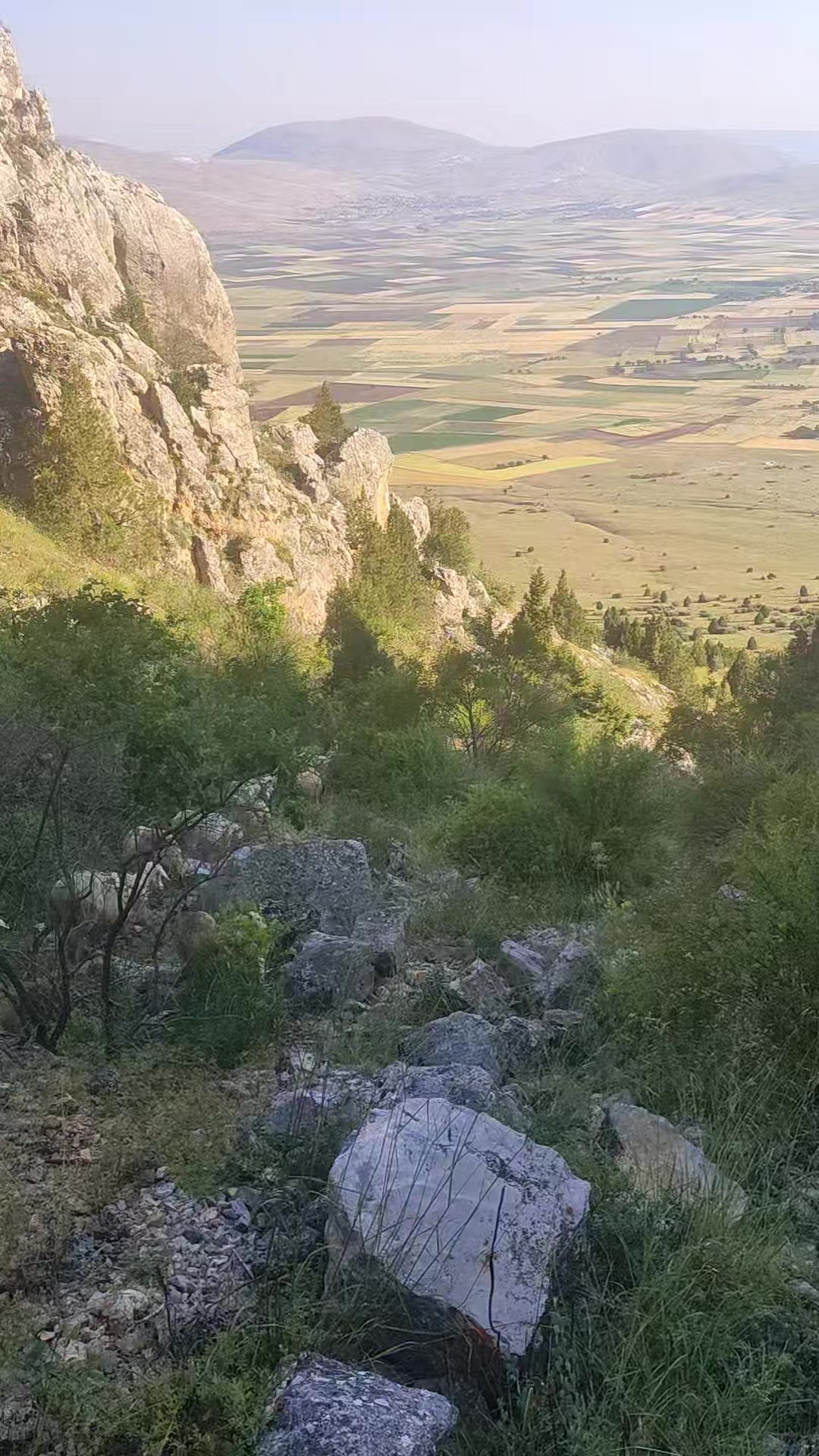 @Vural_koyunculuk_03