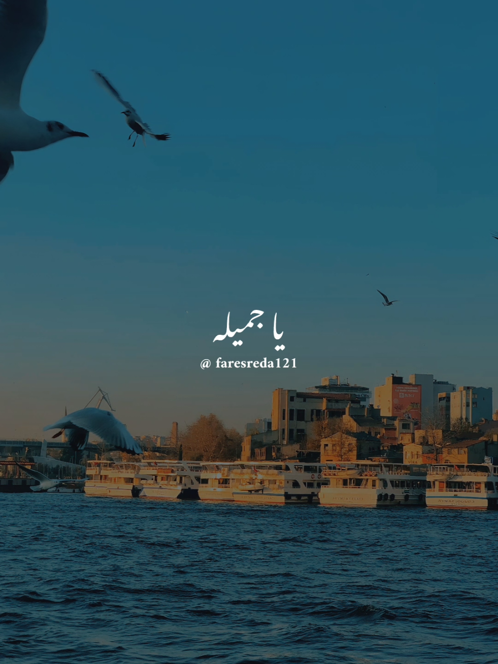 @فــارس♡
