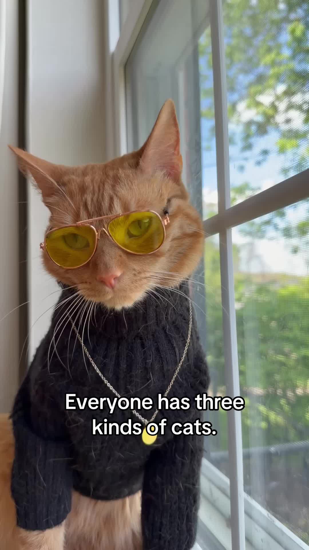 @neuteredscooter