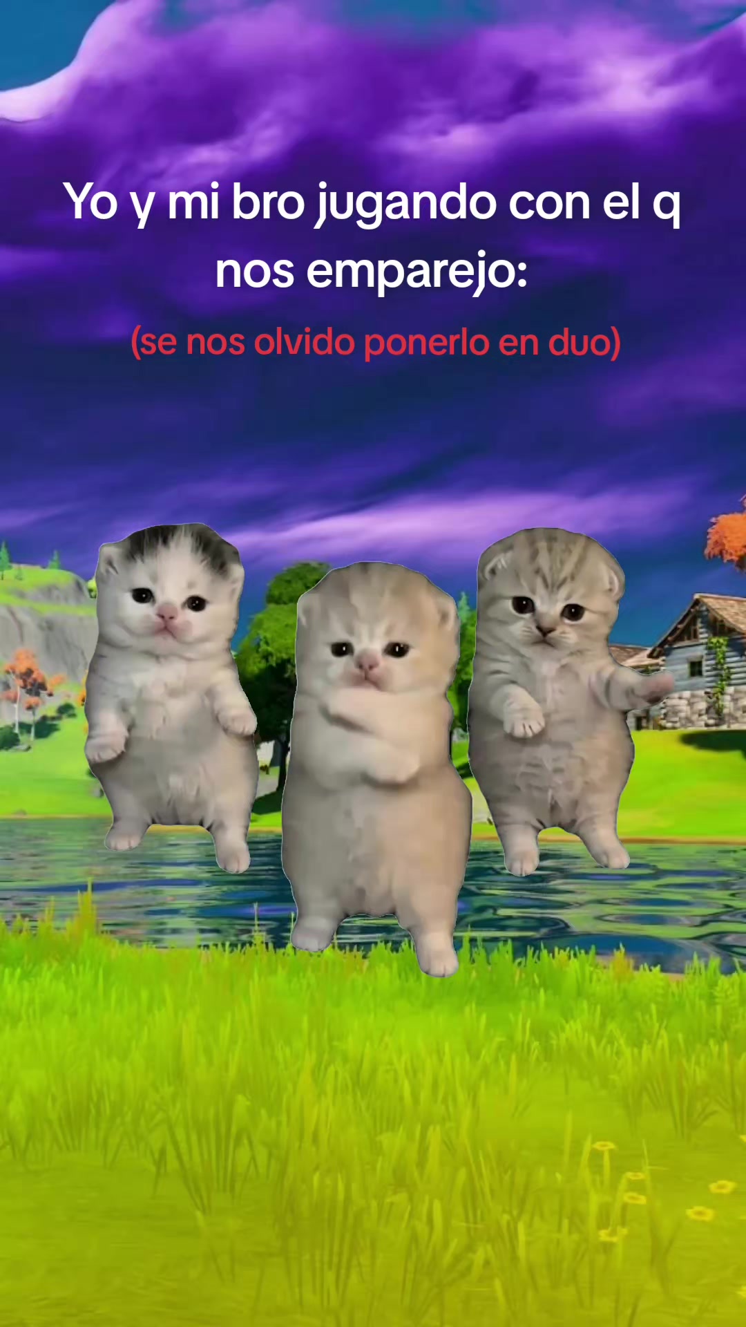@siok