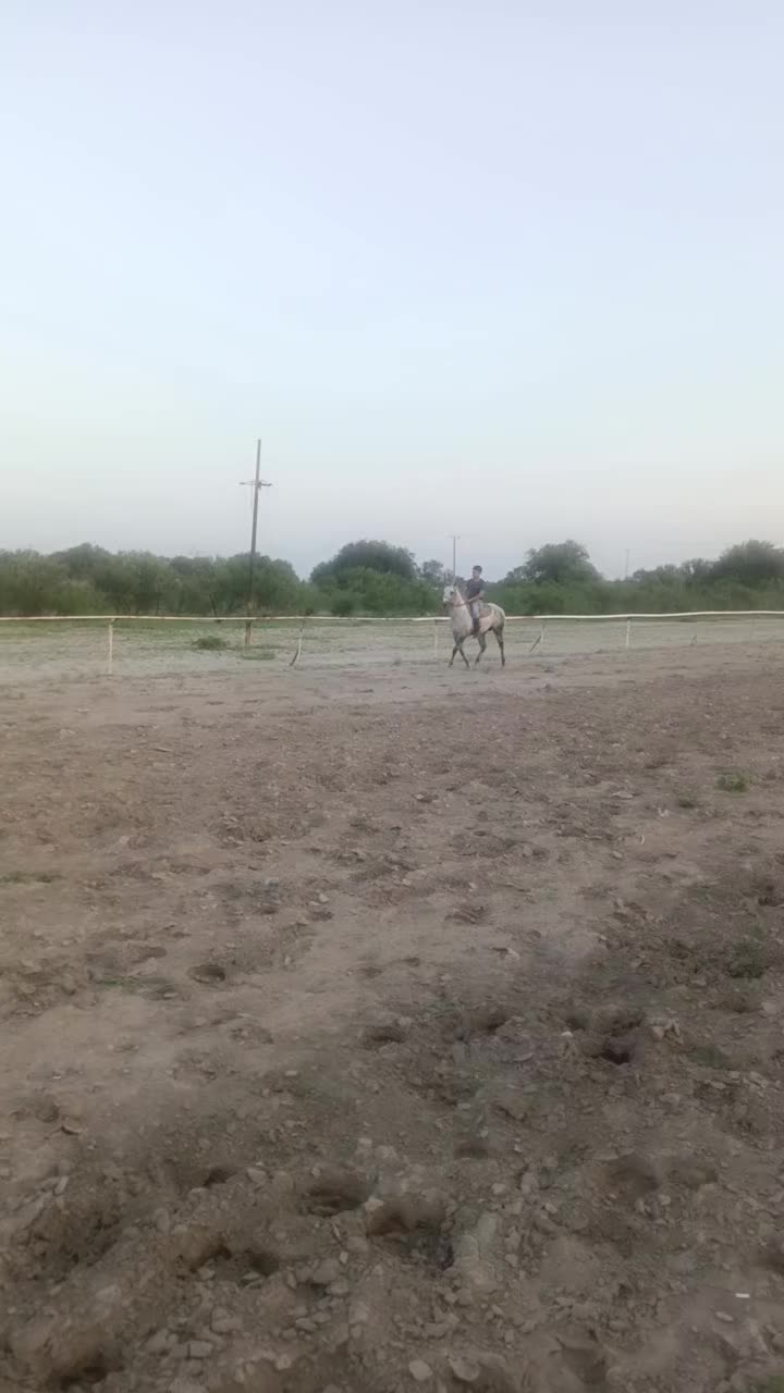 @🇲🇽EL CHAMÁN 🏇 🇲🇽