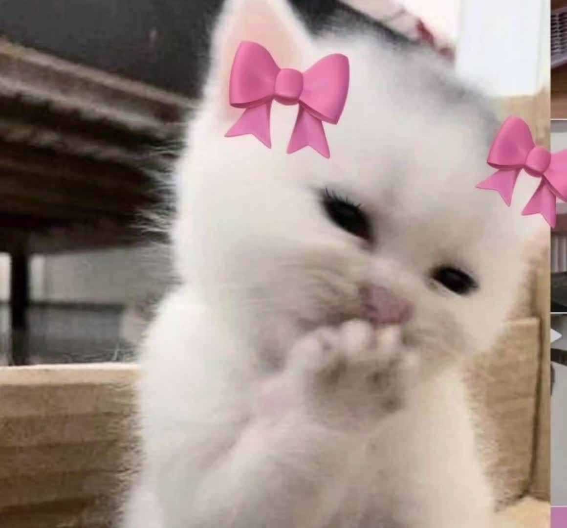 @rosiah💋🤓😍😘😘😘💗💗💗👁👄👁