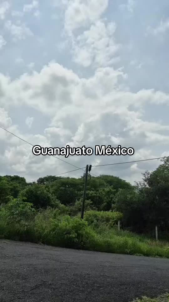 @antonysaavedra55