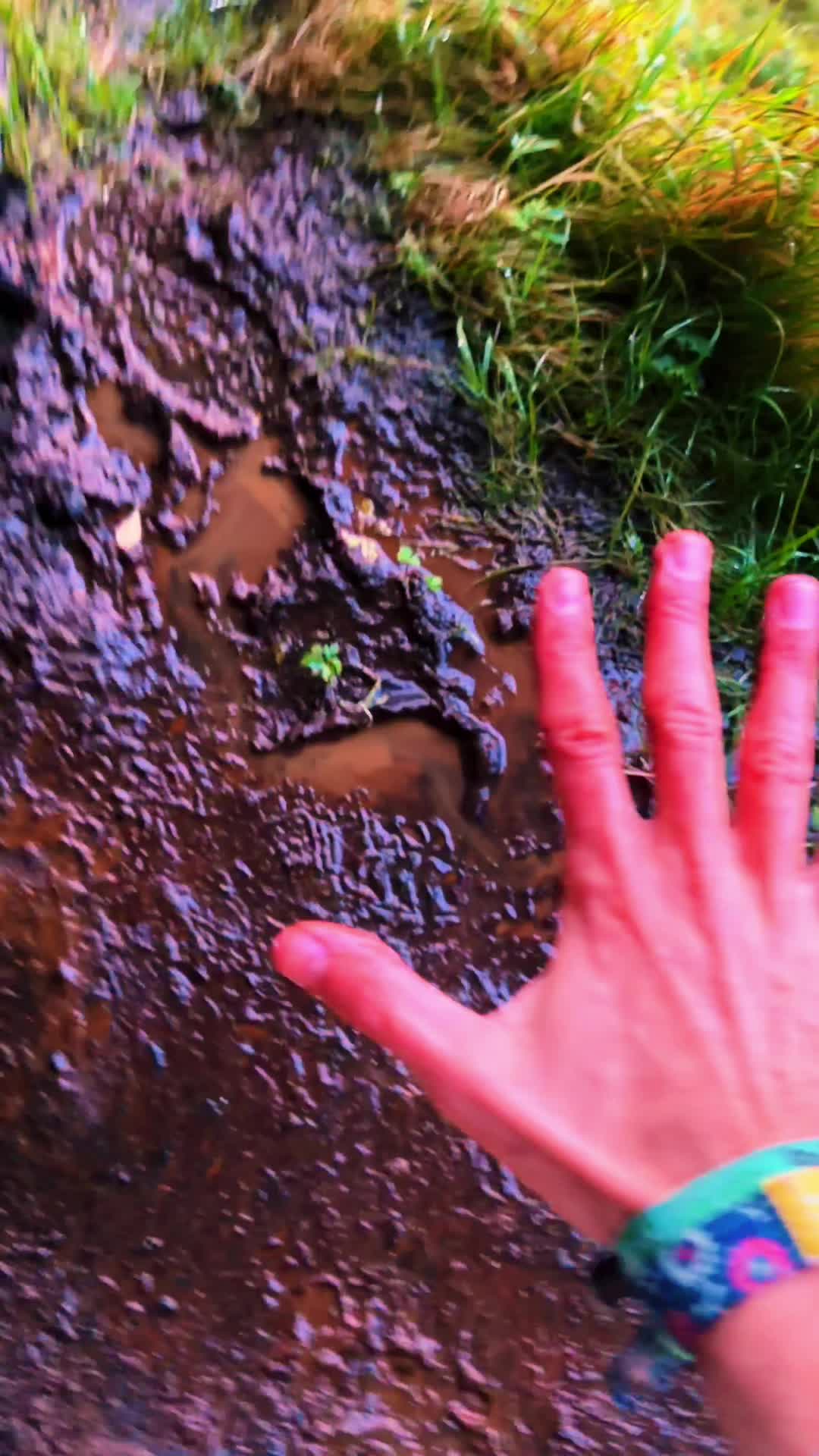 @mega
