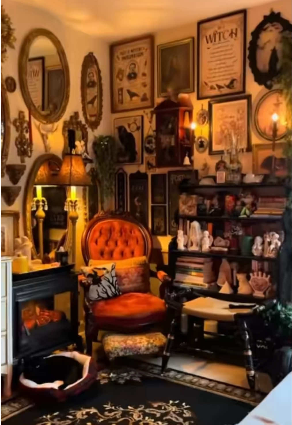 @Maximalist Maiteelacubana