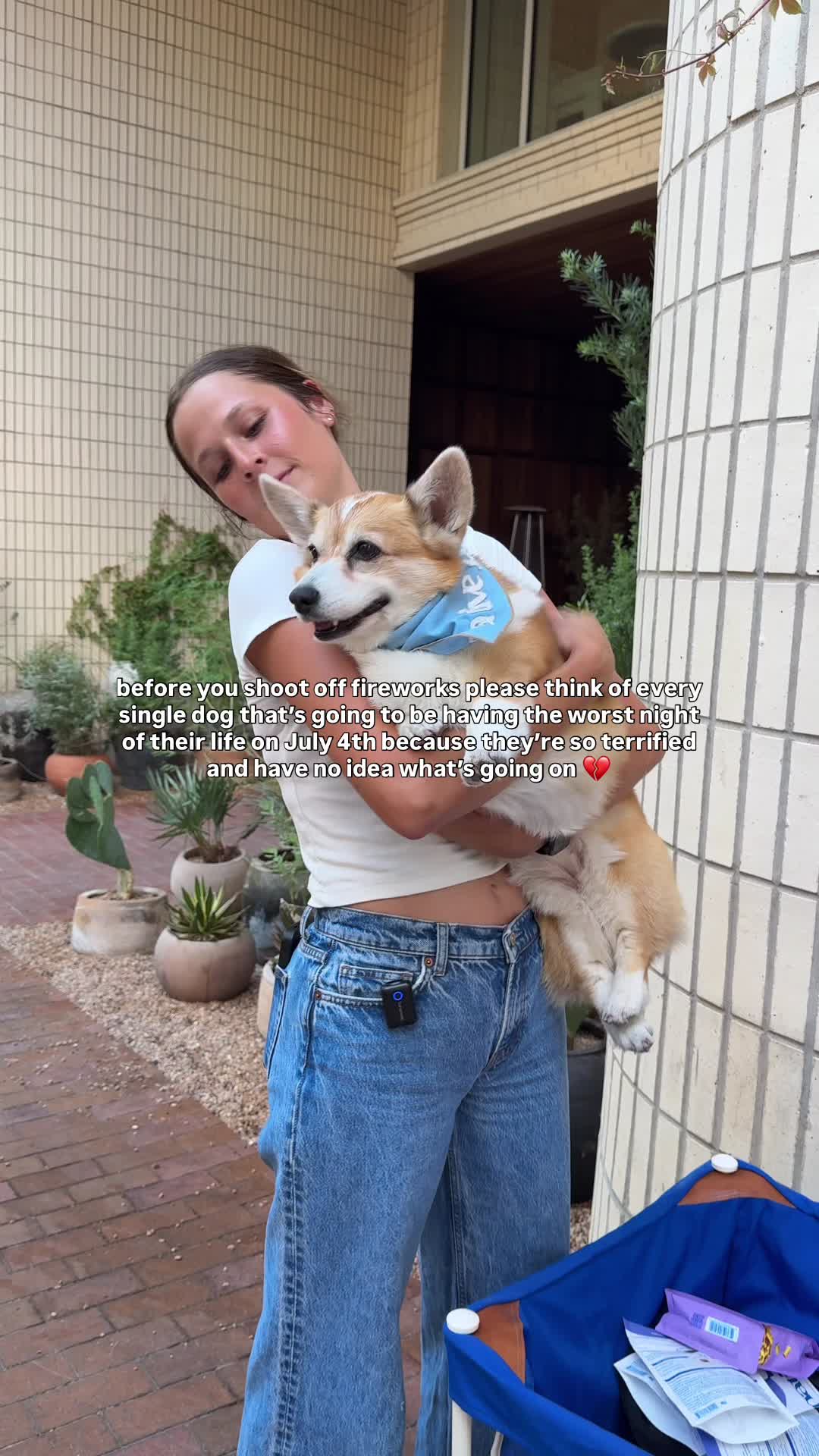 @Native Pet
