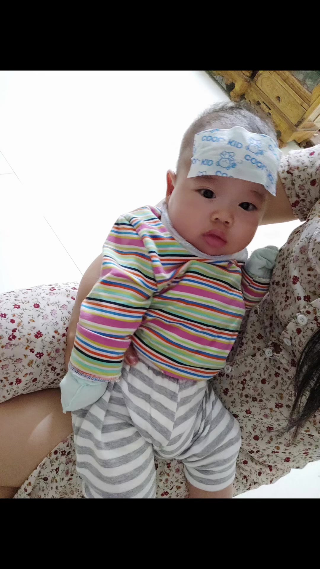 @Mèo Nhỏ Nè 🍀