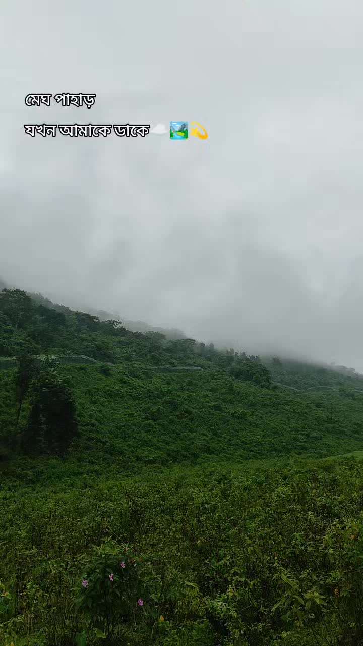 @Hossain9988