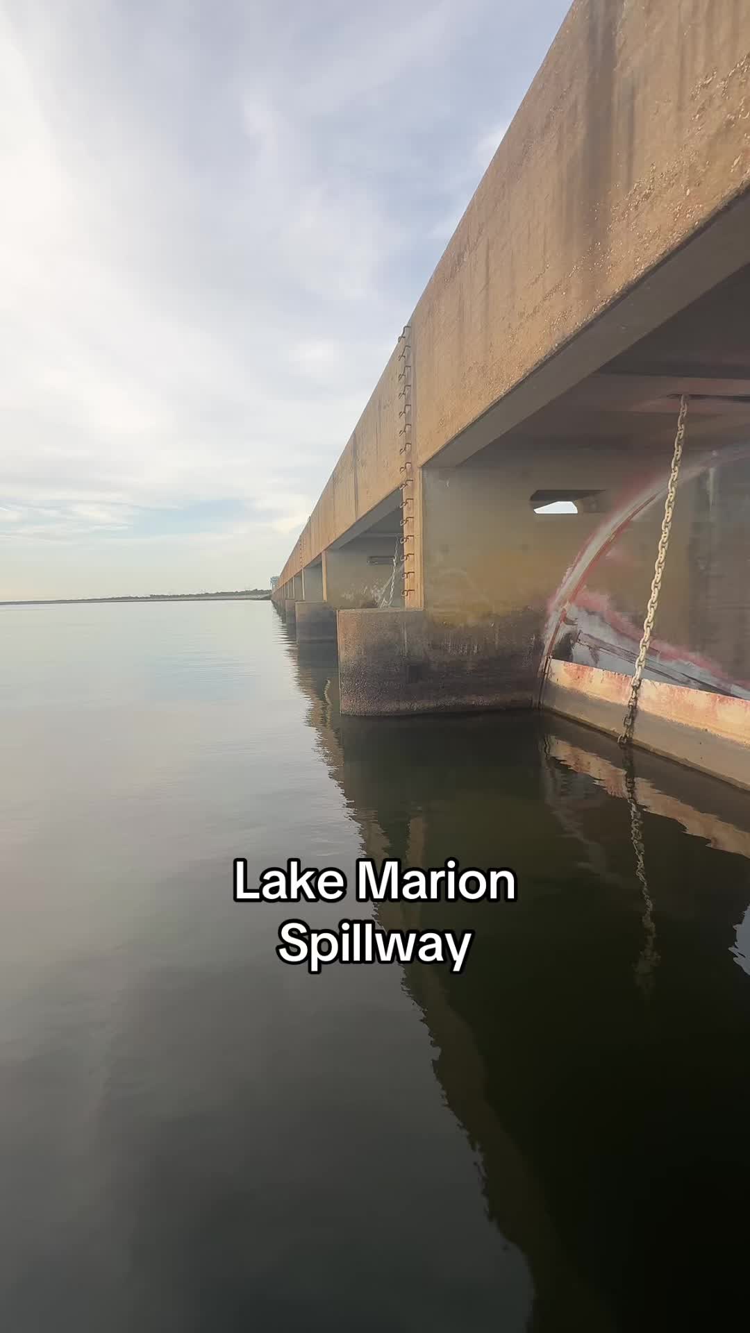 @Action Jackson 🤟