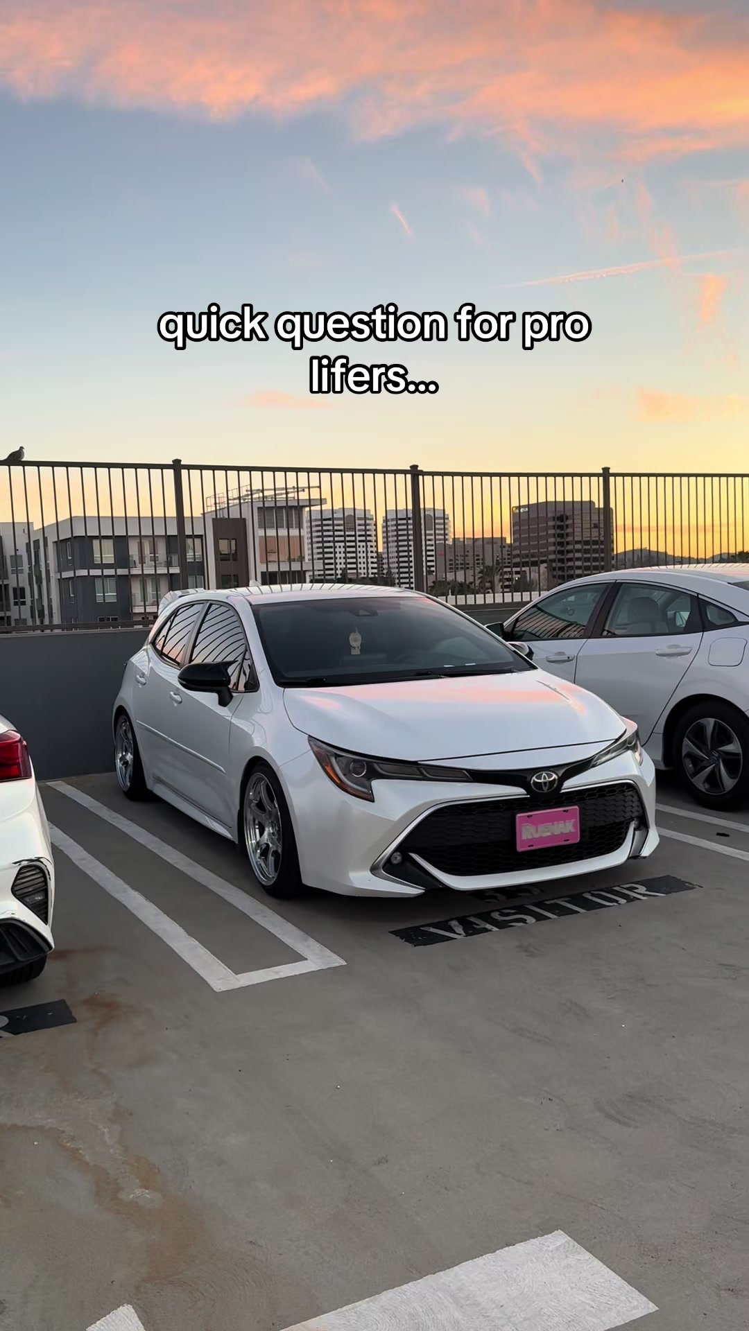 @wnt2bevo