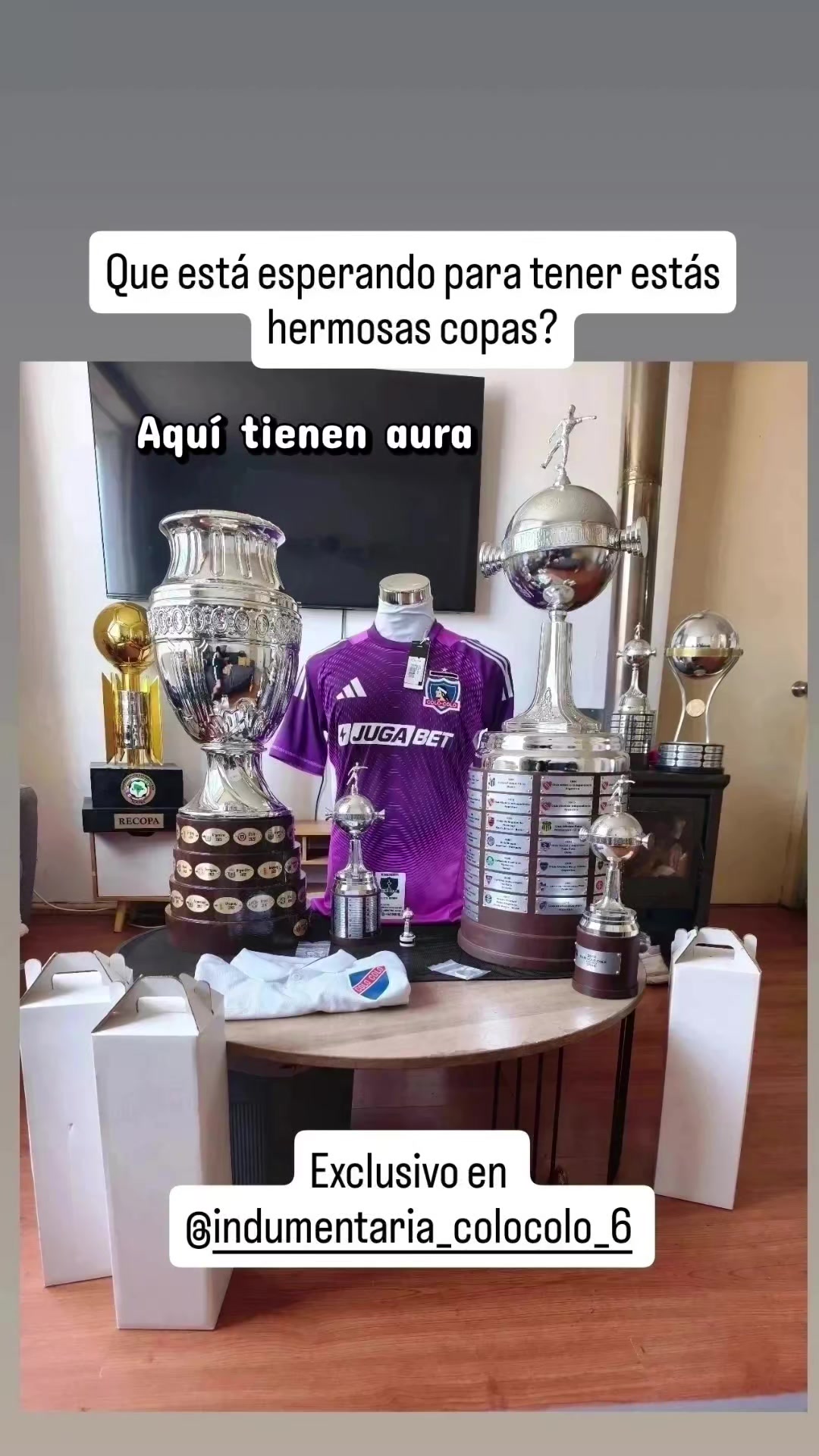 @indumentaria_colocolo_6