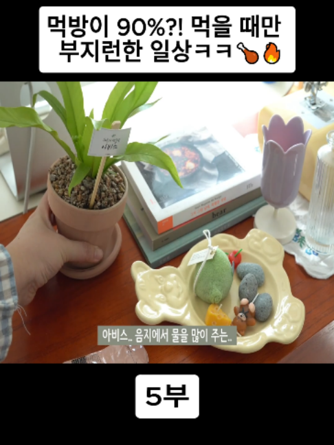 @오늘의 보라