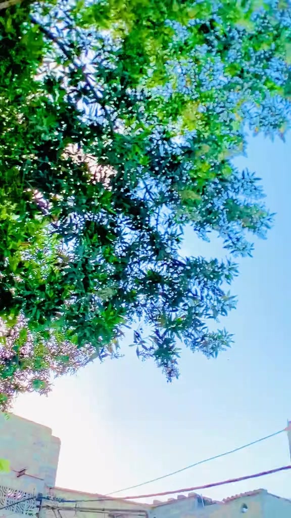 @𝘋𝘢𝘯𝘨𝘦𝘳 𝘢𝘥𝘮𝘪𝘯333🇰🇳