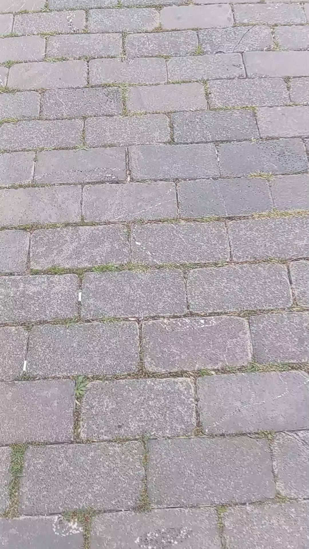 @🇦🇿 Nahçıvanlı🇦🇿